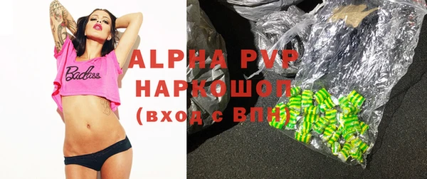 стафф Надым