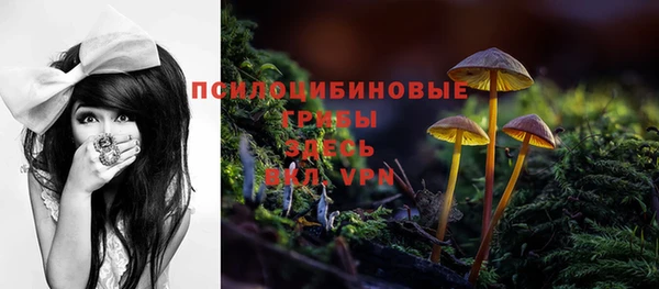хмурый Наволоки